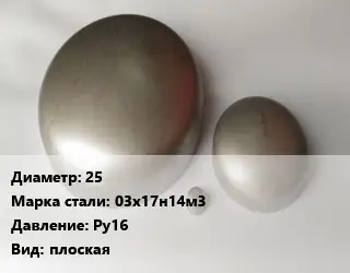 Заглушка нержавеющая 25 Сталь: 03х17н14м3 Ру16 плоская